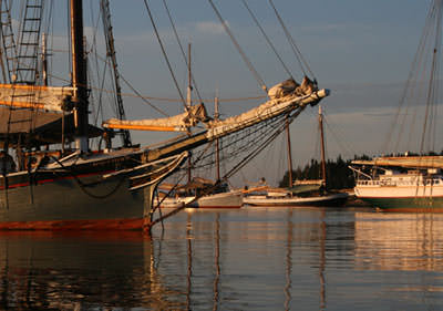 Schooners anchored at WoodenBoat harbor - Photo by Neal Parent